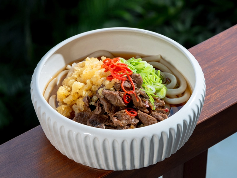 Niku Udon